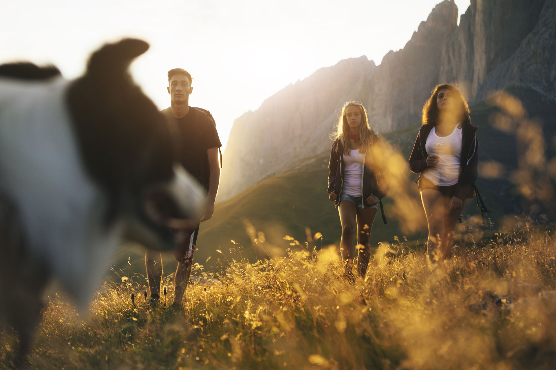 Menschen und Hund bei Sonnenuntergang in den Bergen.