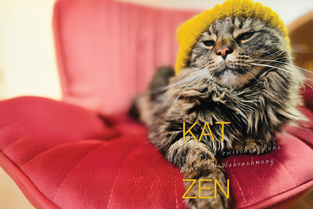 Katze auf rotem Sessel mit gelber Mütze – Cover des Journals KATZEN – Begegnungen zwischen Ruhe, Nähe und Wahrnehmung von Birgit Koell